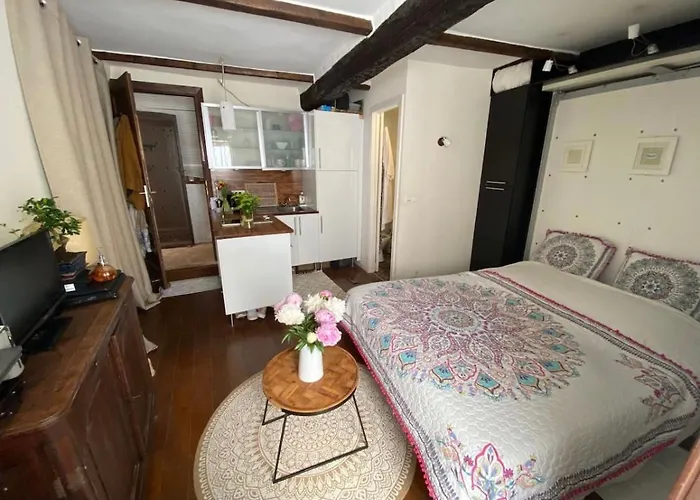 Au Cœur Du Vieil Appartement